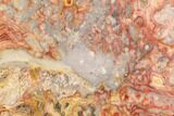Polished, Crazy Lace Agate Slab - Western Australia #96251-1